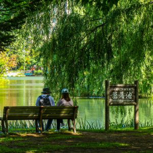 081_ヒカゲのベンチでひと休み/中島公園