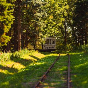 112_森閑の駅、リリートレインの夢/百合が原公園