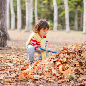 148_落ち葉、集めてます！/円山公園