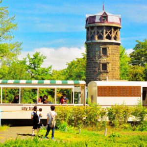 166_リリートレイン日和/百合が原公園