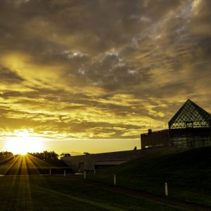 166_真夏の朝日差し込む自然美/モエレ沼公園