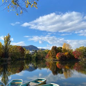 175_秋の菖蒲池_中島公園