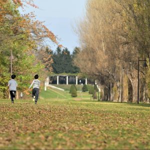 180_秋の音_前田森林公園