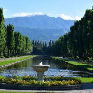 182_カナールの夏/前田森林公園