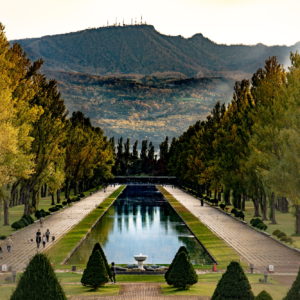 自然と人工の調和