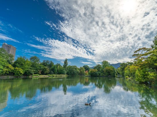 219_大きな鏡/中島公園