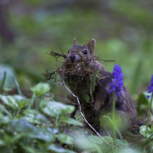 223_大忙し/豊平公園