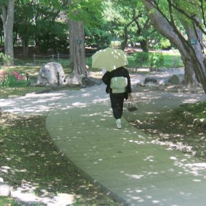 244_木漏れ日の道/中島公園