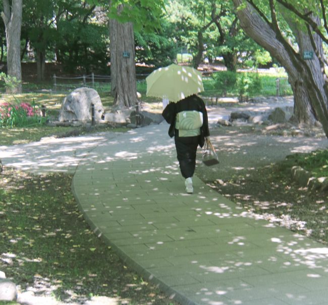 244_木漏れ日の道/中島公園