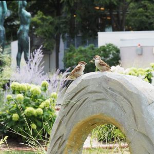 244_見つめあって/大通公園