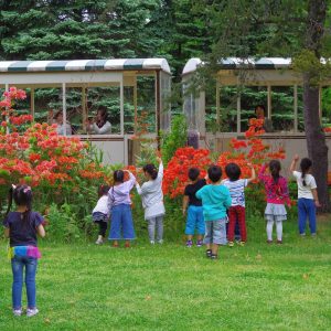 271_春トレインに乗ろっと・・・。_百合が原公園