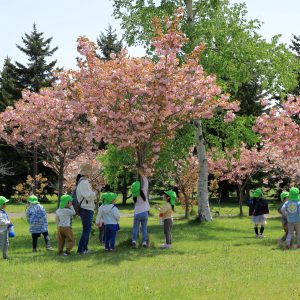 278_お花見日和「園外学習」/前田森林公園