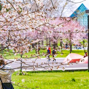 292_芸術の花を愛でる/モエレ沼公園