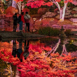 298_深紅の庭園/中島公園