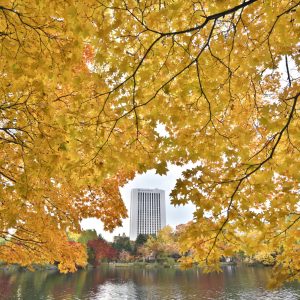 349_秋色に包まれて/中島公園