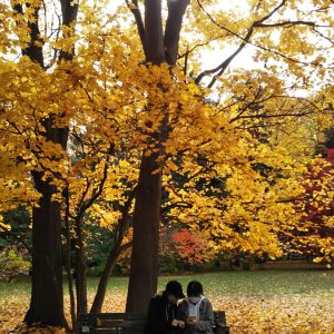 358_しずかな時間/豊平公園