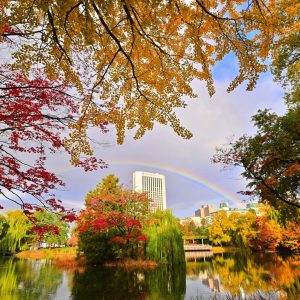 368_秋雨上がって/中島公園