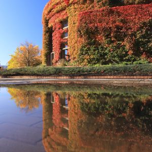 370_雨上がり/農試公園