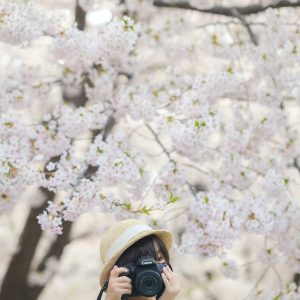 372_小さなカメラマン。/農試公園