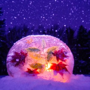 376_煌めくアイスキャンドル/百合が原公園