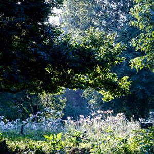 382_市内の秘境/百合が原公園