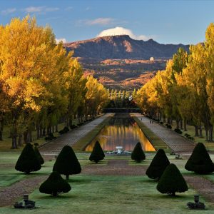 394_前田公園展望ラウンジから望む黄葉のポプラ並木/前田森林公園