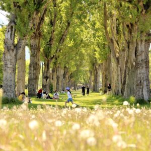 399_初夏の野原/前田森林公園