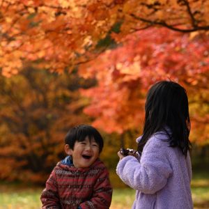 414_紅葉と走らぬ組/真駒内公園