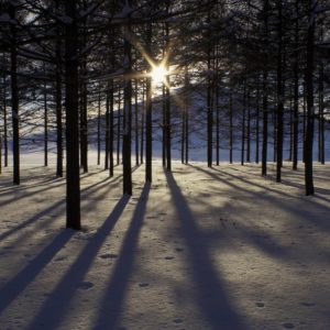 421_夕映えの冬景色/モエレ沼公園