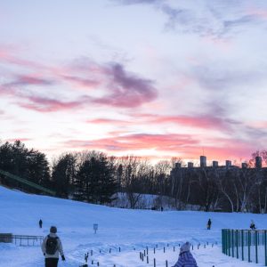 426_冬の夕暮れ散歩_月寒公園