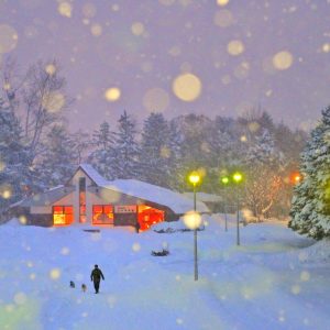 436_冬のぬくもり/豊平川さけ科学館