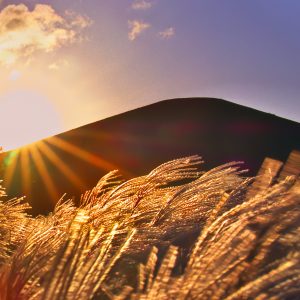 448_晩秋のGolden Time/モエレ沼公園