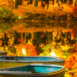 451_輝く秋/中島公園