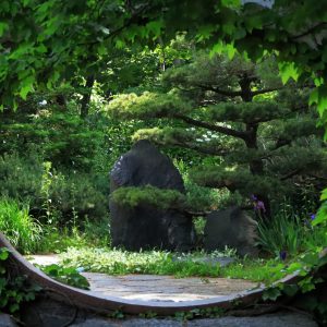 477_異国の庭園/百合が原公園