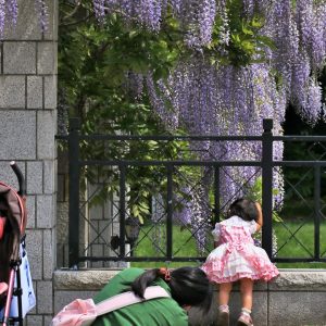 481_こっち向いて/前田森林公園