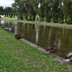 486_カナール界隈_前田森林公園