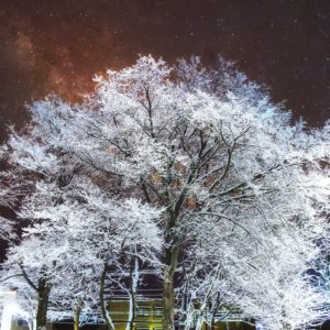 510_冬の東くるみ公園/東くるみ公園