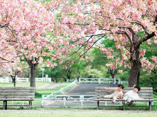 546_桜の下で/農試公園