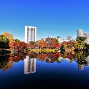 600_紅葉の中島公園リフレクション/中島公園