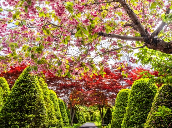 2024準グランプリ_春の色_平岡園芸センター