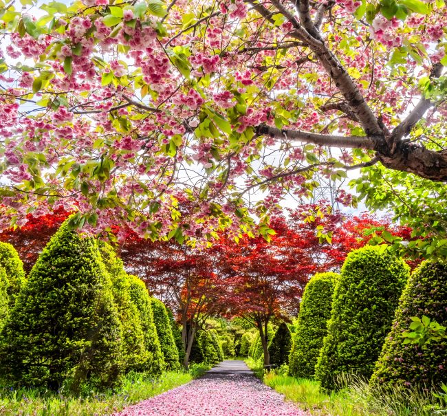 603_春の色_平岡園芸センター