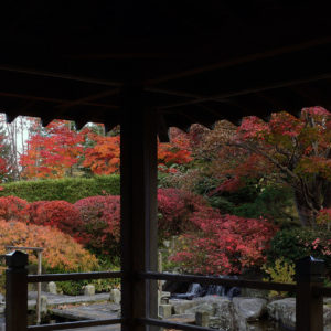 607_秋の舞台かな？/百合が原公園