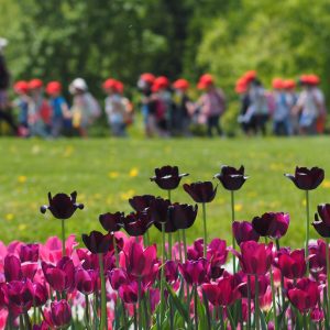 645_お散歩日和/滝野すずらん丘陵公園