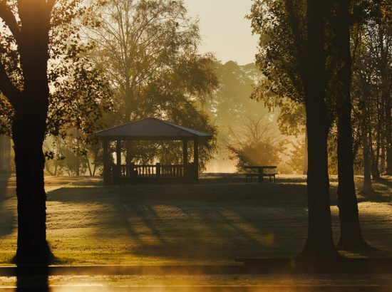 440_朝のひととき/前田森林公園