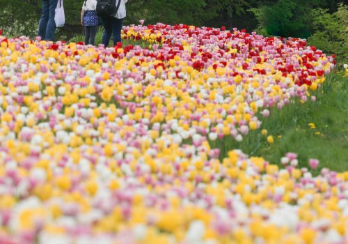 2024グランプリ作品