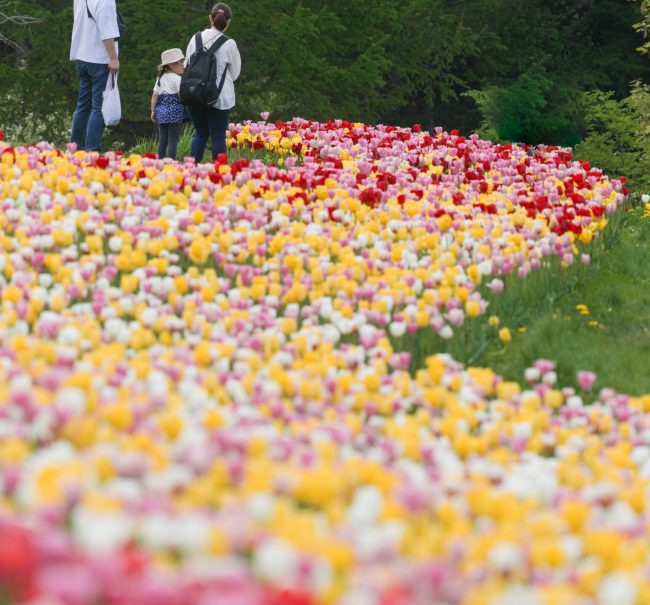 2024グランプリ作品