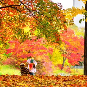 秋の妖精みいつけた！