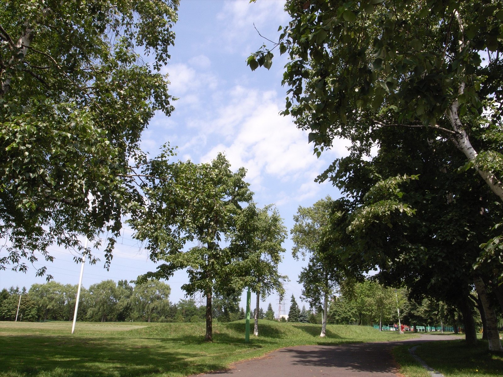 園路が延びている