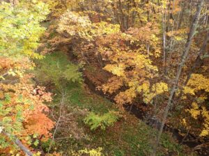 清雲橋から見た清田川
