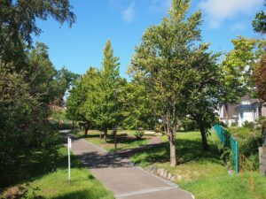 清田南公園の園路樹